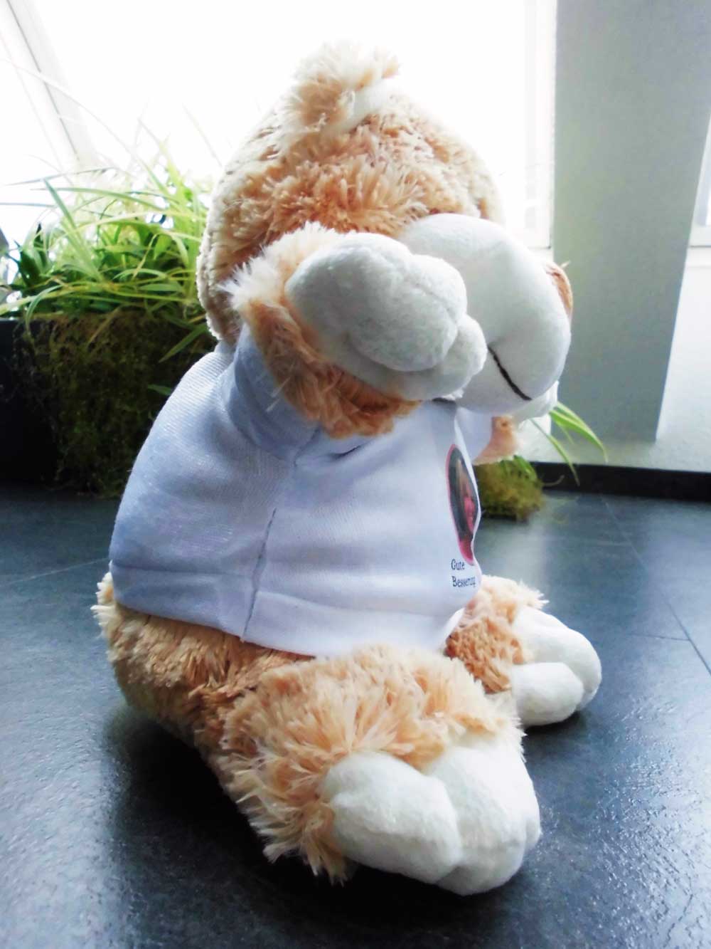 Seitenansicht Eures Teddybären mit Foto